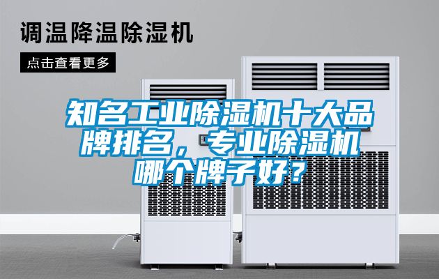 知名工業(yè)除濕機(jī)十大品牌排名，專業(yè)除濕機(jī)哪個(gè)牌子好？