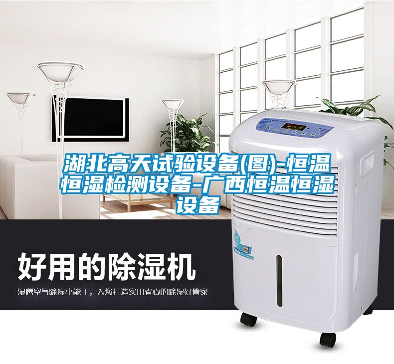 湖北高天試驗(yàn)設(shè)備(圖)-恒溫恒濕檢測設(shè)備-廣西恒溫恒濕設(shè)備