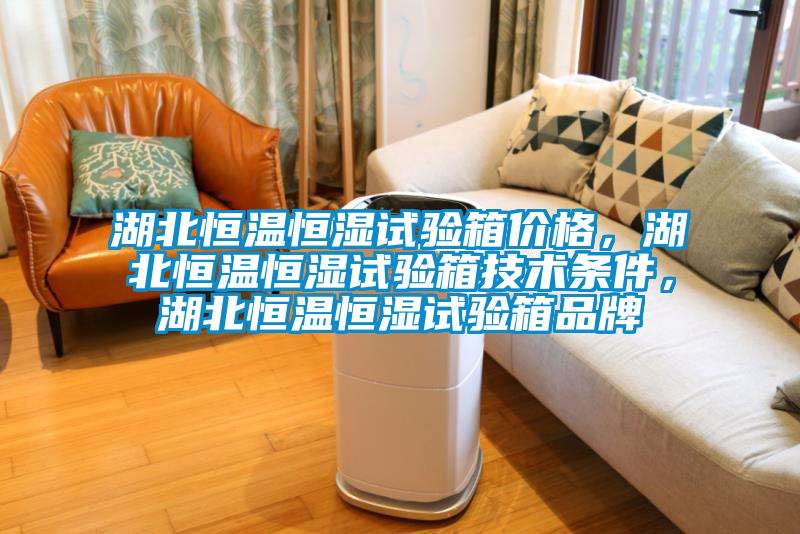 湖北恒溫恒濕試驗箱價格，湖北恒溫恒濕試驗箱技術(shù)條件，湖北恒溫恒濕試驗箱品牌