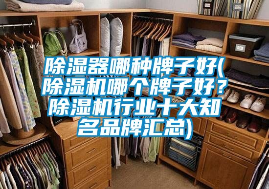 除濕器哪種牌子好(除濕機(jī)哪個(gè)牌子好？除濕機(jī)行業(yè)十大知名品牌匯總)