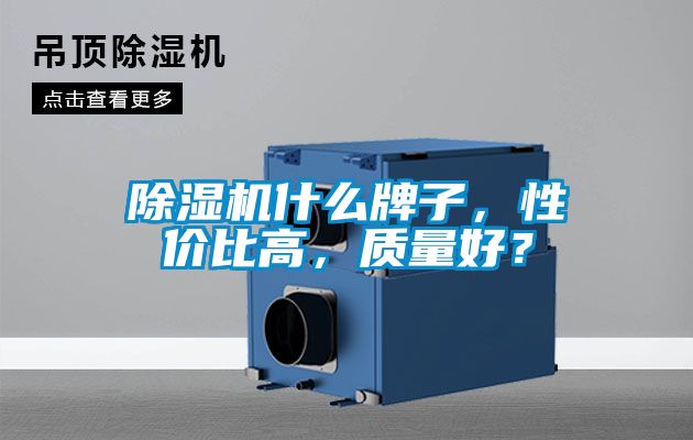 除濕機(jī)什么牌子，性價(jià)比高，質(zhì)量好？