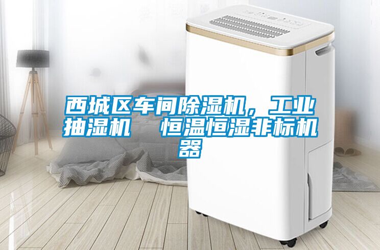 西城區(qū)車間除濕機，工業(yè)抽濕機  恒溫恒濕非標(biāo)機器