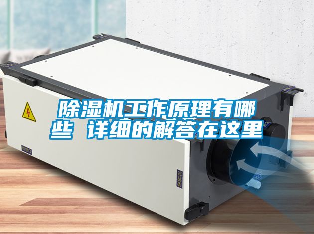除濕機(jī)工作原理有哪些 詳細(xì)的解答在這里