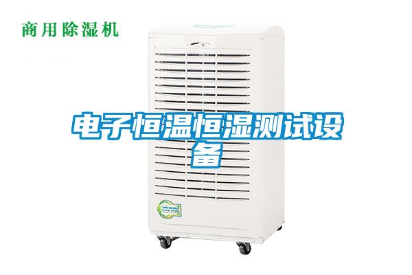 電子恒溫恒濕測(cè)試設(shè)備