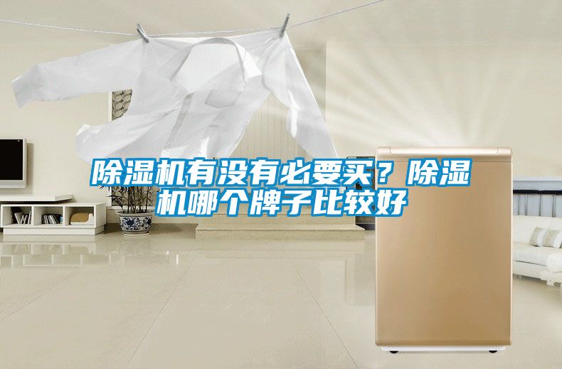 除濕機(jī)有沒有必要買？除濕機(jī)哪個(gè)牌子比較好
