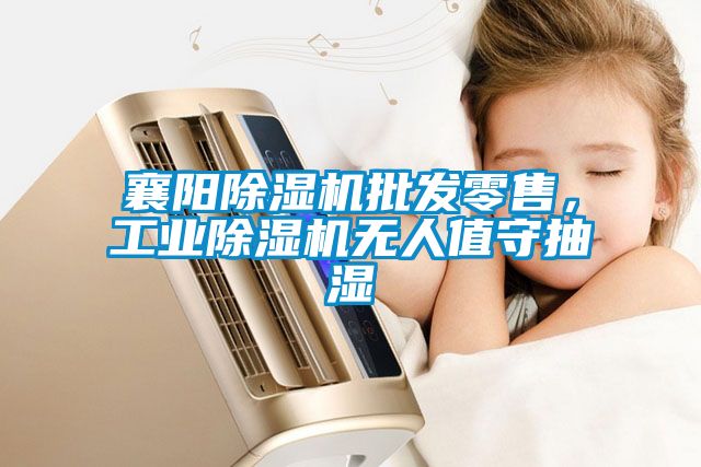 襄陽除濕機批發(fā)零售，工業(yè)除濕機無人值守抽濕