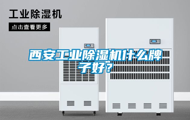 西安工業(yè)除濕機(jī)什么牌子好？