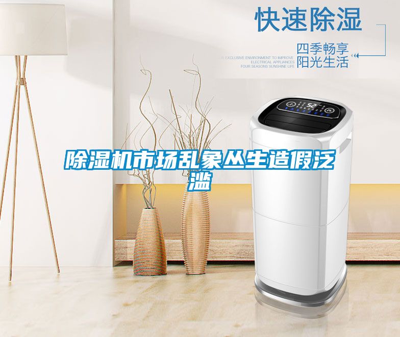 除濕機(jī)市場(chǎng)亂象叢生造假泛濫