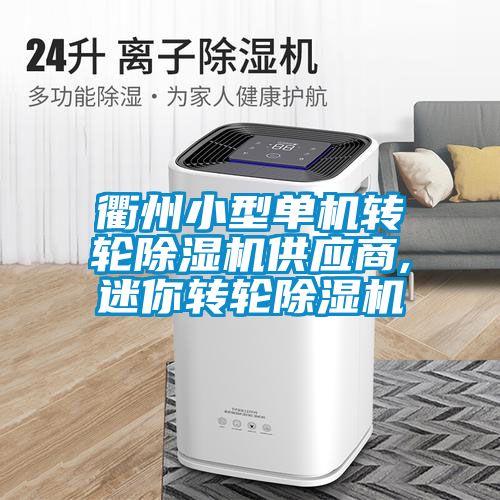 衢州小型單機轉(zhuǎn)輪除濕機供應商,迷你轉(zhuǎn)輪除濕機