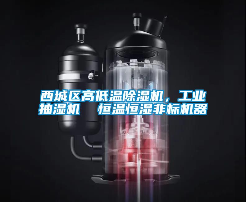 西城區(qū)高低溫除濕機，工業(yè)抽濕機  恒溫恒濕非標(biāo)機器