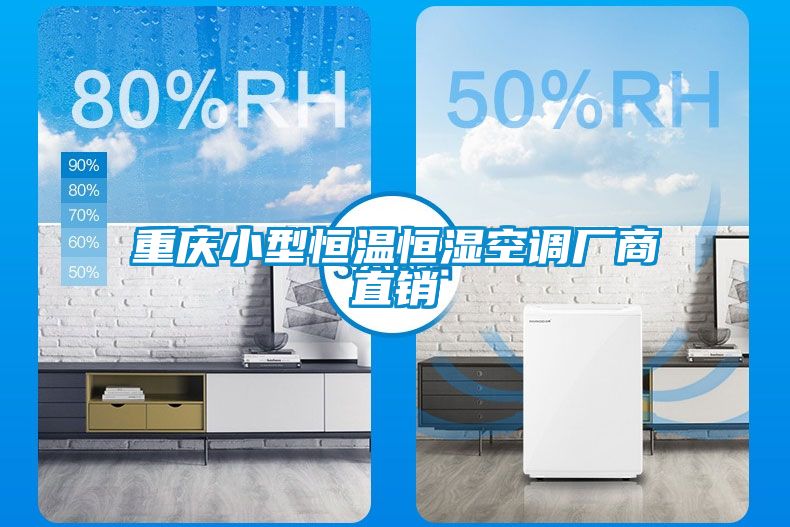 重慶小型恒溫恒濕空調(diào)廠商直銷(xiāo)