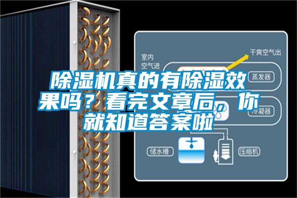 除濕機真的有除濕效果嗎？看完文章后，你就知道答案啦