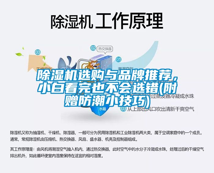 除濕機(jī)選購(gòu)與品牌推薦，小白看完也不會(huì)選錯(cuò)(附贈(zèng)防潮小技巧)