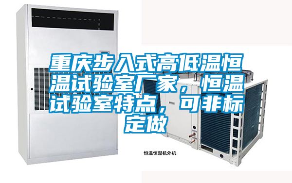 重慶步入式高低溫恒溫試驗室廠家，恒溫試驗室特點，可非標定做