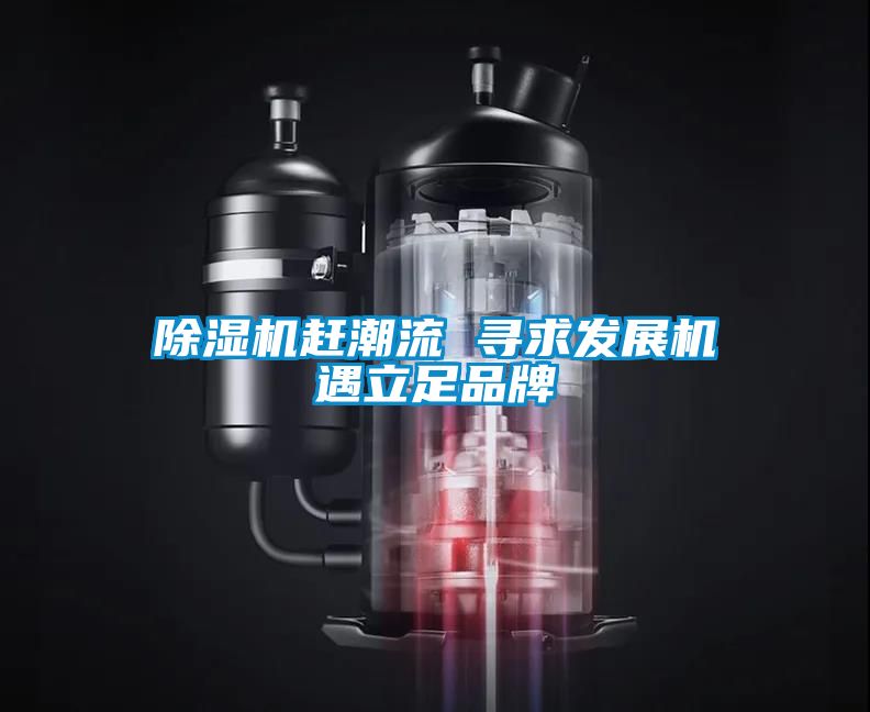 除濕機趕潮流 尋求發(fā)展機遇立足品牌