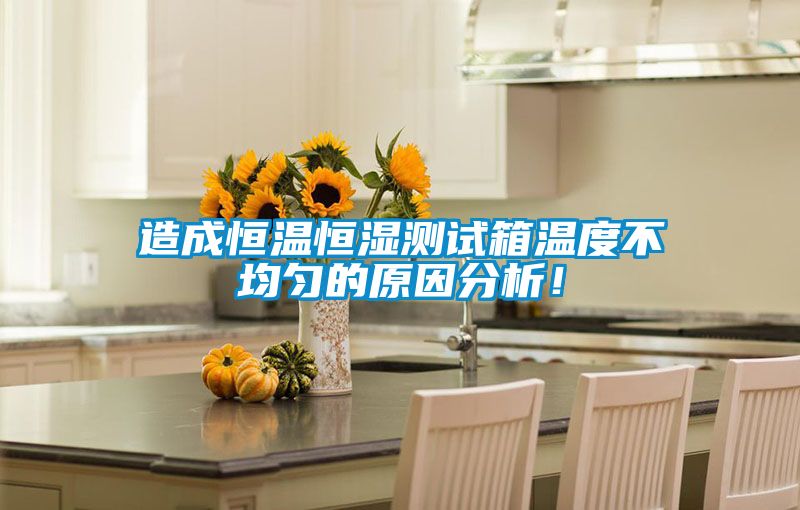 造成恒溫恒濕測(cè)試箱溫度不均勻的原因分析！