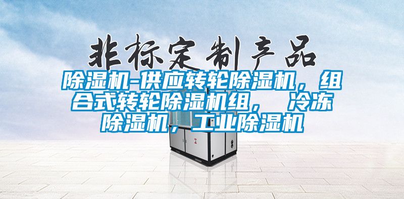 除濕機(jī)-供應(yīng)轉(zhuǎn)輪除濕機(jī)，組合式轉(zhuǎn)輪除濕機(jī)組， 冷凍除濕機(jī)，工業(yè)除濕機(jī)