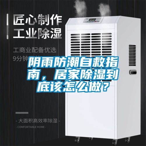陰雨防潮自救指南，居家除濕到底該怎么做？
