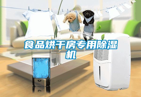 食品烘干房專用除濕機(jī)