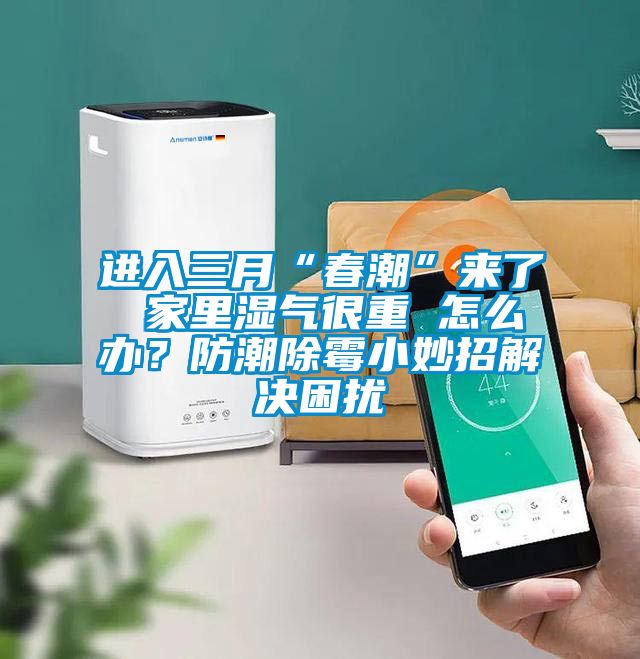 進(jìn)入三月“春潮”來(lái)了 家里濕氣很重 怎么辦？防潮除霉小妙招解決困擾