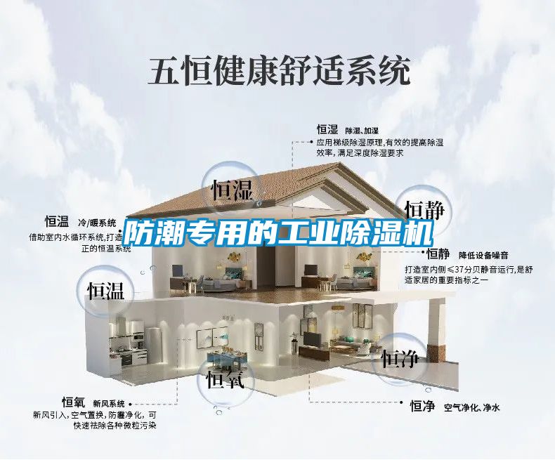 防潮專用的工業(yè)除濕機(jī)