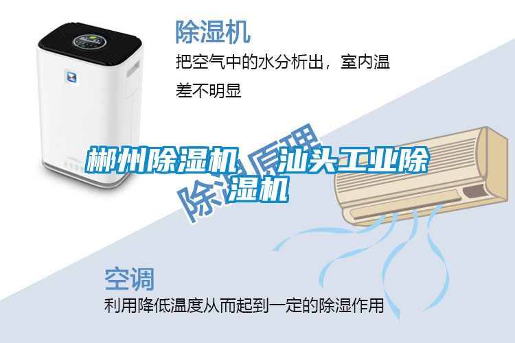 郴州除濕機  汕頭工業(yè)除濕機