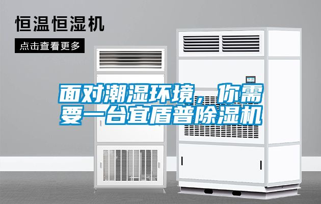 面對(duì)潮濕環(huán)境，你需要一臺(tái)宜盾普除濕機(jī)
