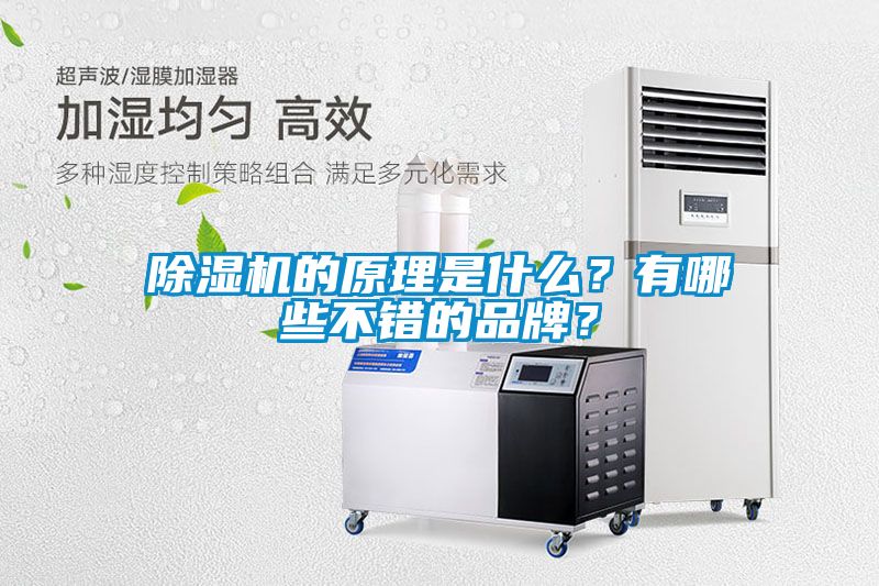 除濕機的原理是什么？有哪些不錯的品牌？