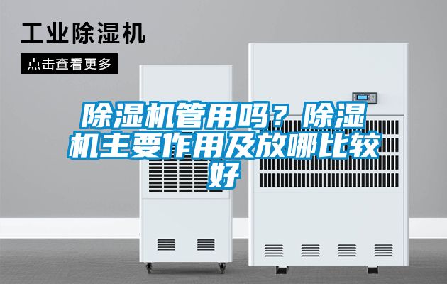 除濕機(jī)管用嗎？除濕機(jī)主要作用及放哪比較好