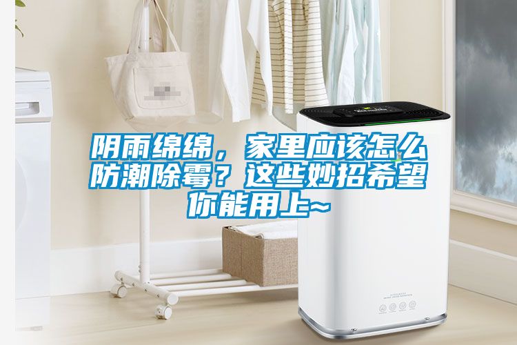 陰雨綿綿，家里應(yīng)該怎么防潮除霉？這些妙招希望你能用上~