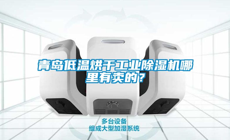 青島低溫烘干工業(yè)除濕機(jī)哪里有賣的？