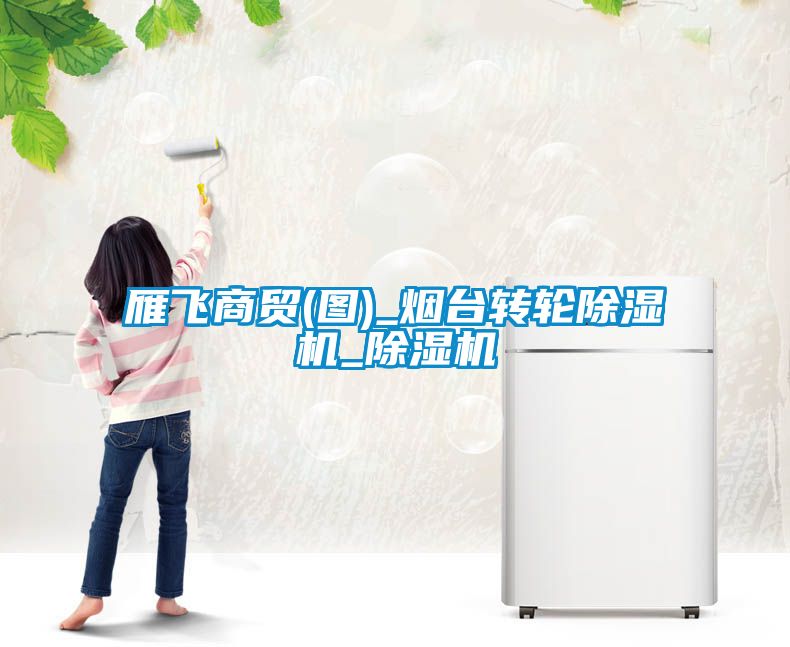 雁飛商貿(mào)(圖)_煙臺轉(zhuǎn)輪除濕機_除濕機