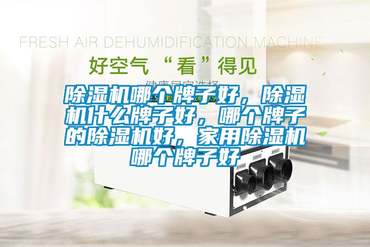 除濕機哪個牌子好，除濕機什么牌子好，哪個牌子的除濕機好，家用除濕機哪個牌子好