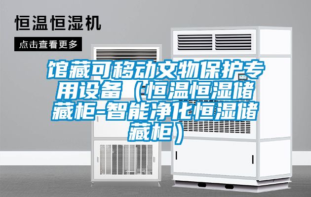 館藏可移動(dòng)文物保護(hù)專(zhuān)用設(shè)備（恒溫恒濕儲(chǔ)藏柜-智能凈化恒濕儲(chǔ)藏柜）