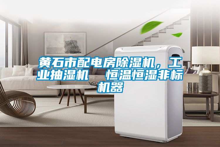 黃石市配電房除濕機(jī)，工業(yè)抽濕機(jī)  恒溫恒濕非標(biāo)機(jī)器