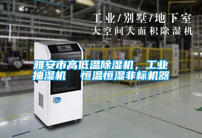雅安市高低溫除濕機，工業(yè)抽濕機  恒溫恒濕非標機器