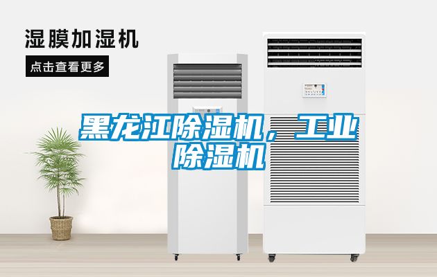 黑龍江除濕機(jī)，工業(yè)除濕機(jī)